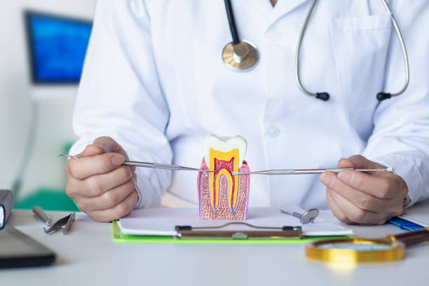 Best Weekend Emergency Dentist in Alturas, CA